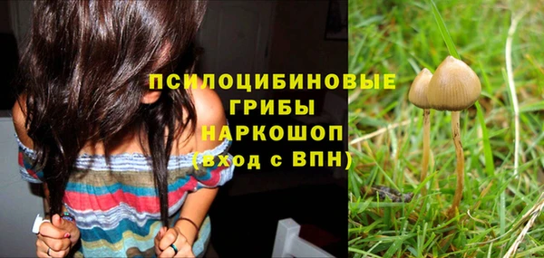 бутират Белокуриха
